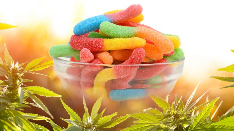 cbd-edibles