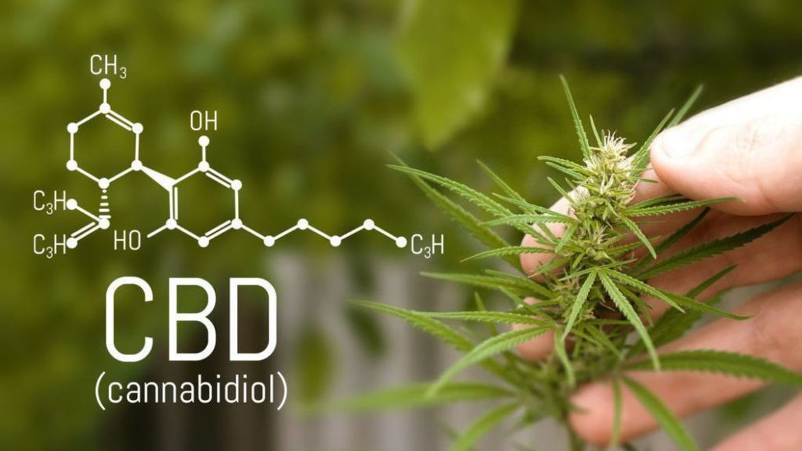 Why is CBD getting popular?