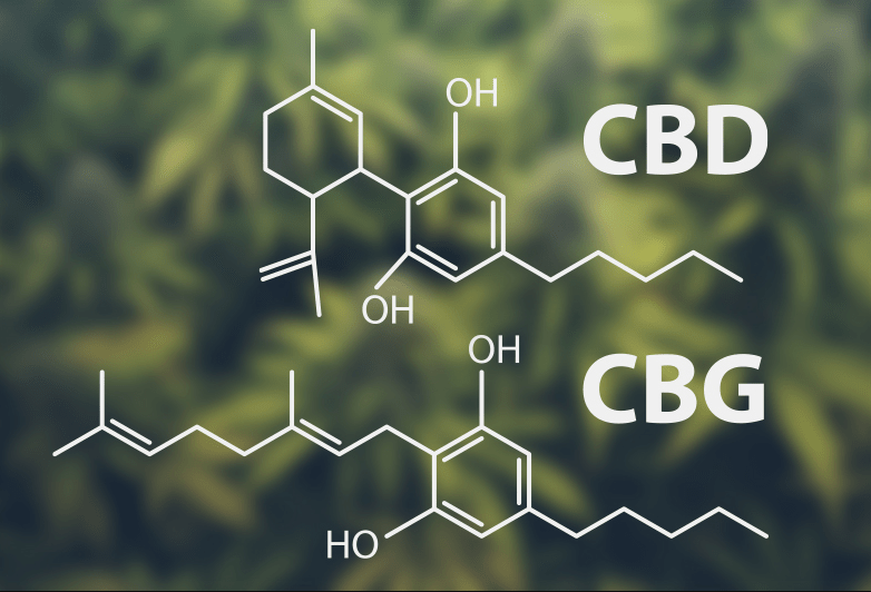 Important Things To Know About CBG and CBD