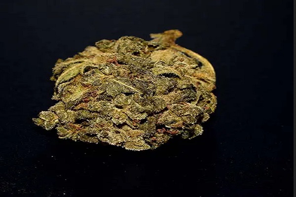 What are the Health Benefits of Marijuana ?