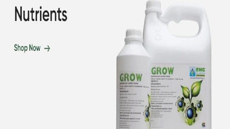 How Does a PH Tester Work?