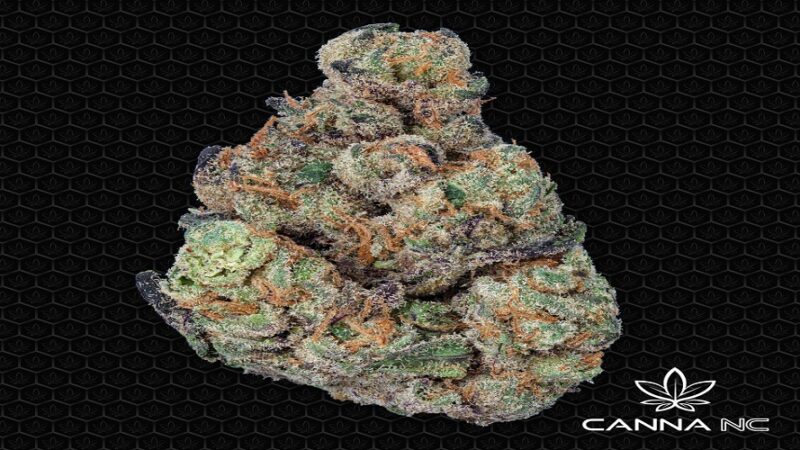 buy wholesale thca raleigh